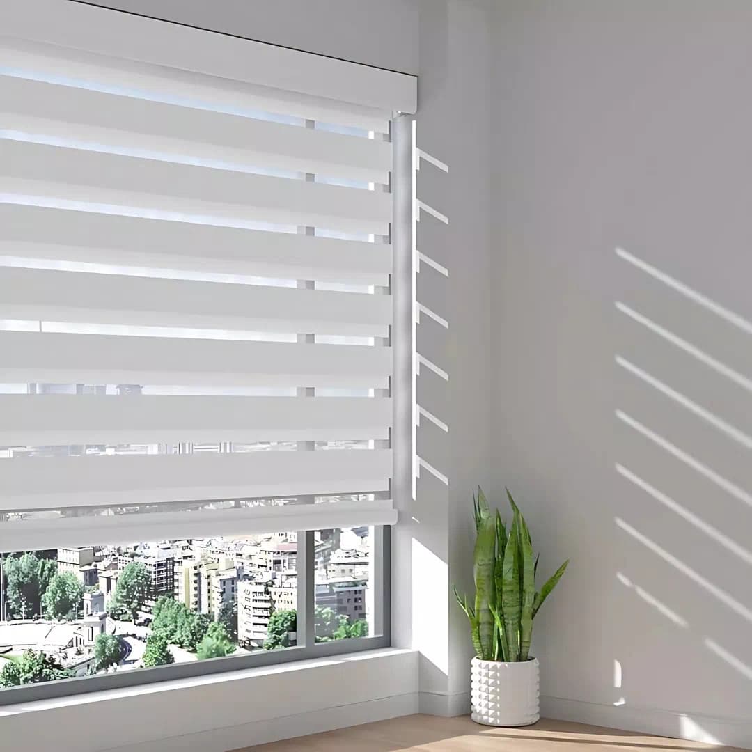 Duplex Blinds