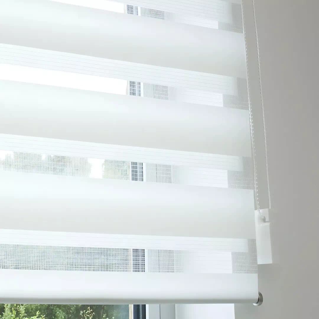 Duplex Blinds