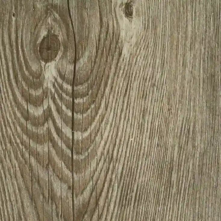 Polar SPC Eco – Antique