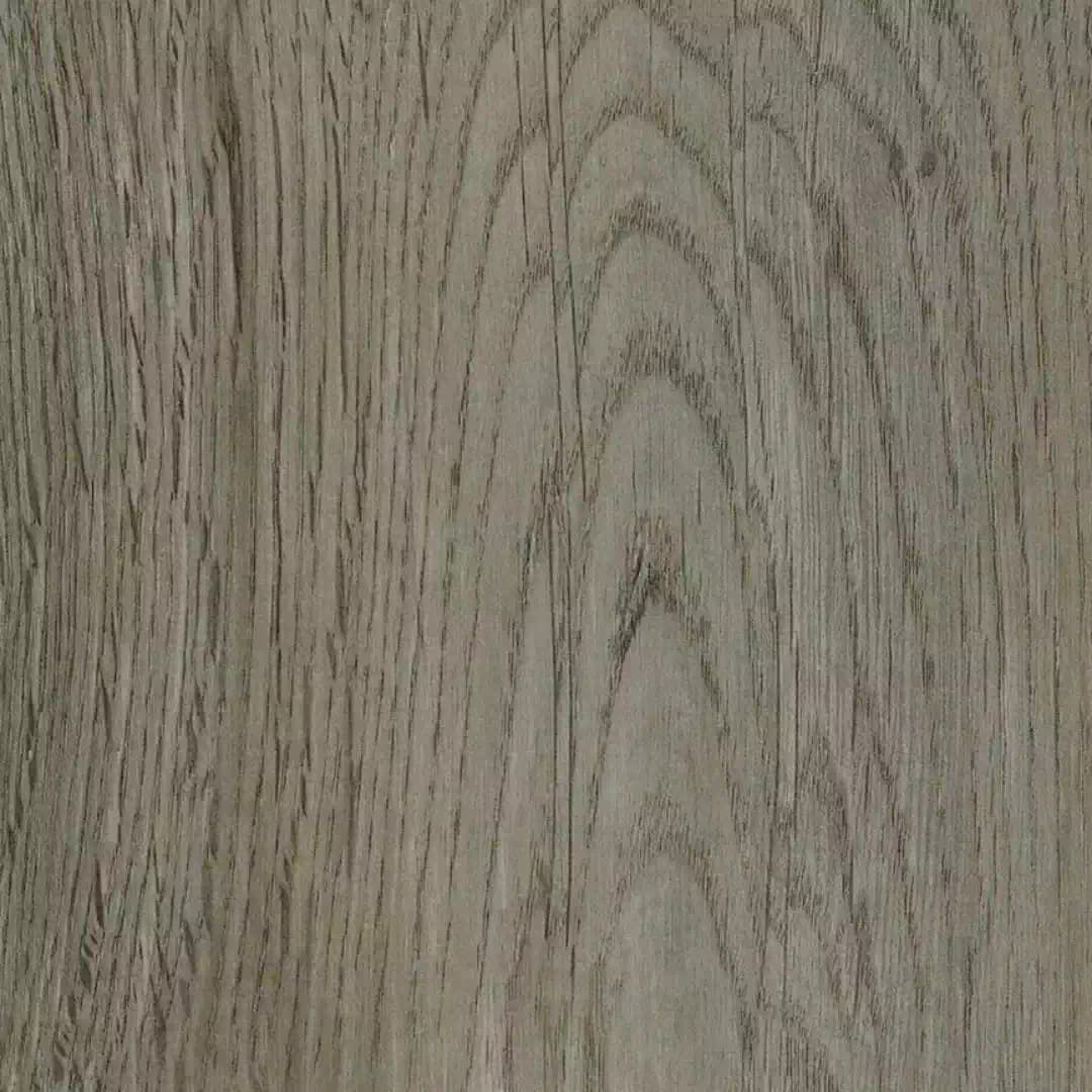 Polar SPC Eco – Prairie